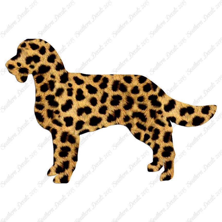 American Water Spaniel Dog Breed
