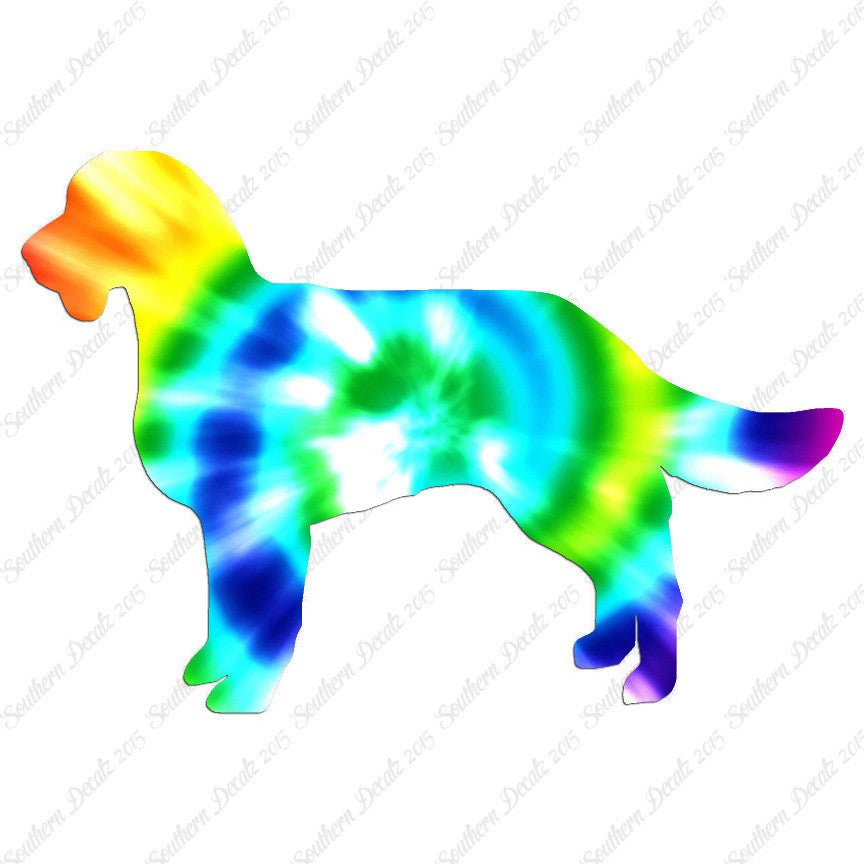American Water Spaniel Dog Breed