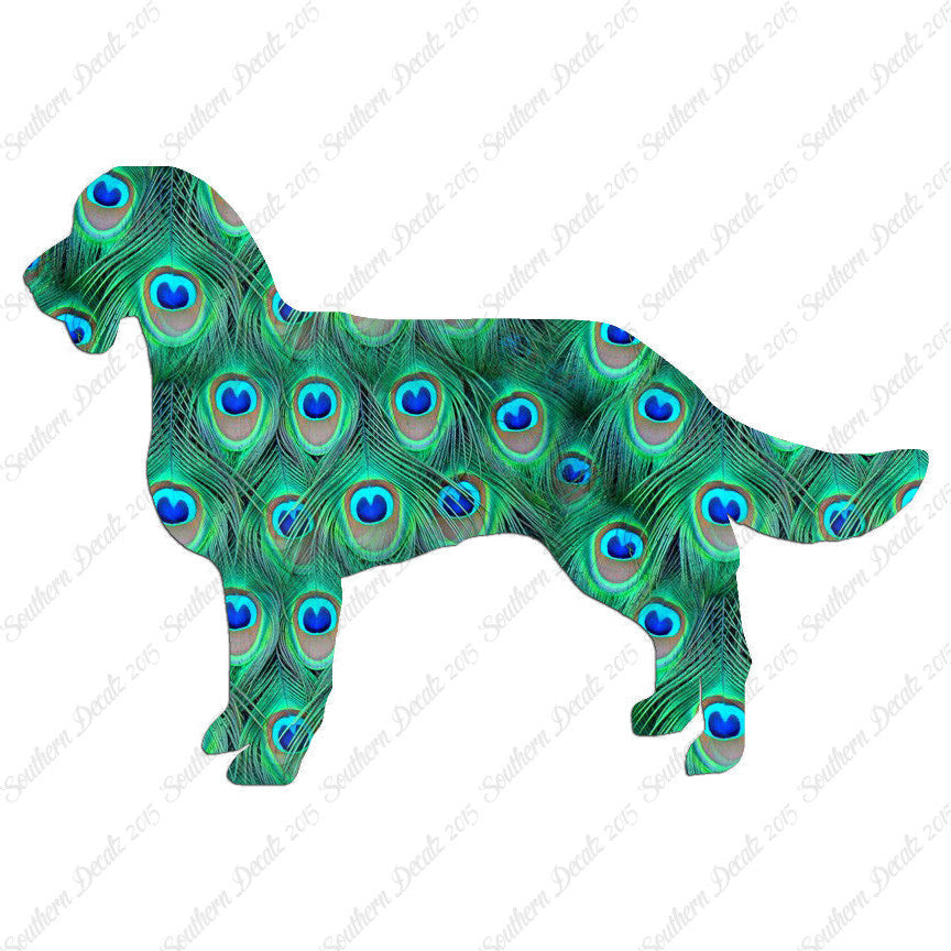 American Water Spaniel Dog Breed