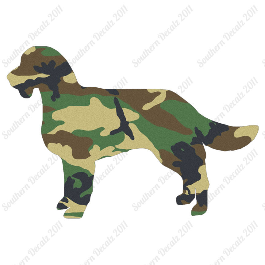 American Water Spaniel Dog Breed