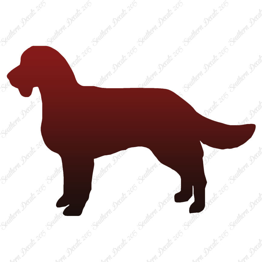American Water Spaniel Dog Breed