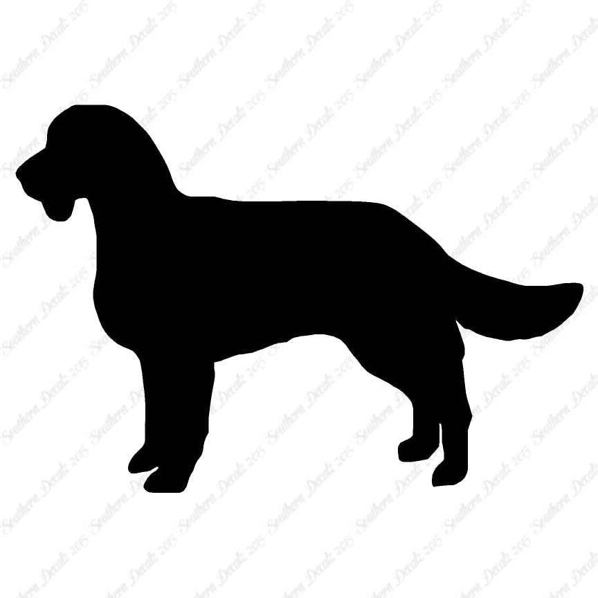 American Water Spaniel Dog Breed