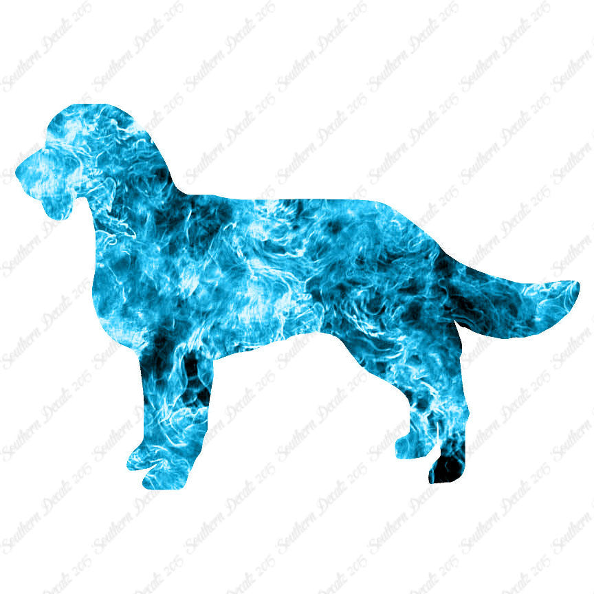 American Water Spaniel Dog Breed