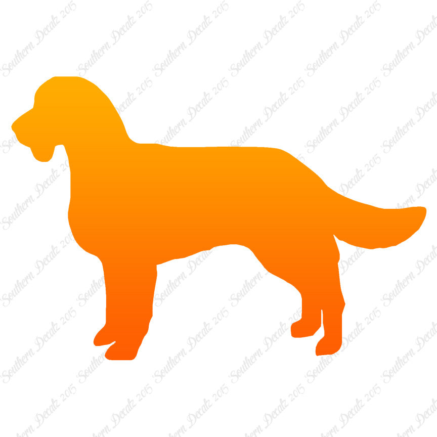 American Water Spaniel Dog Breed