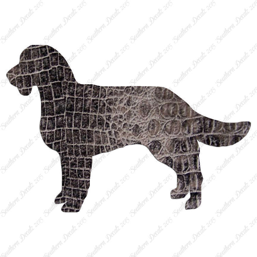 American Water Spaniel Dog Breed