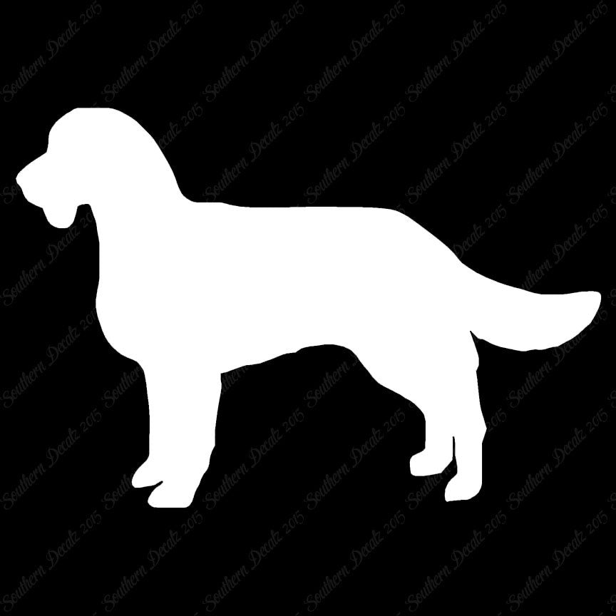American Water Spaniel Dog Breed