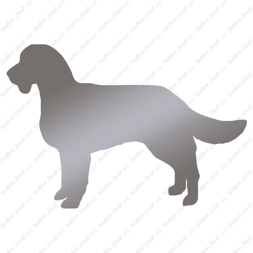 American Water Spaniel Dog Breed