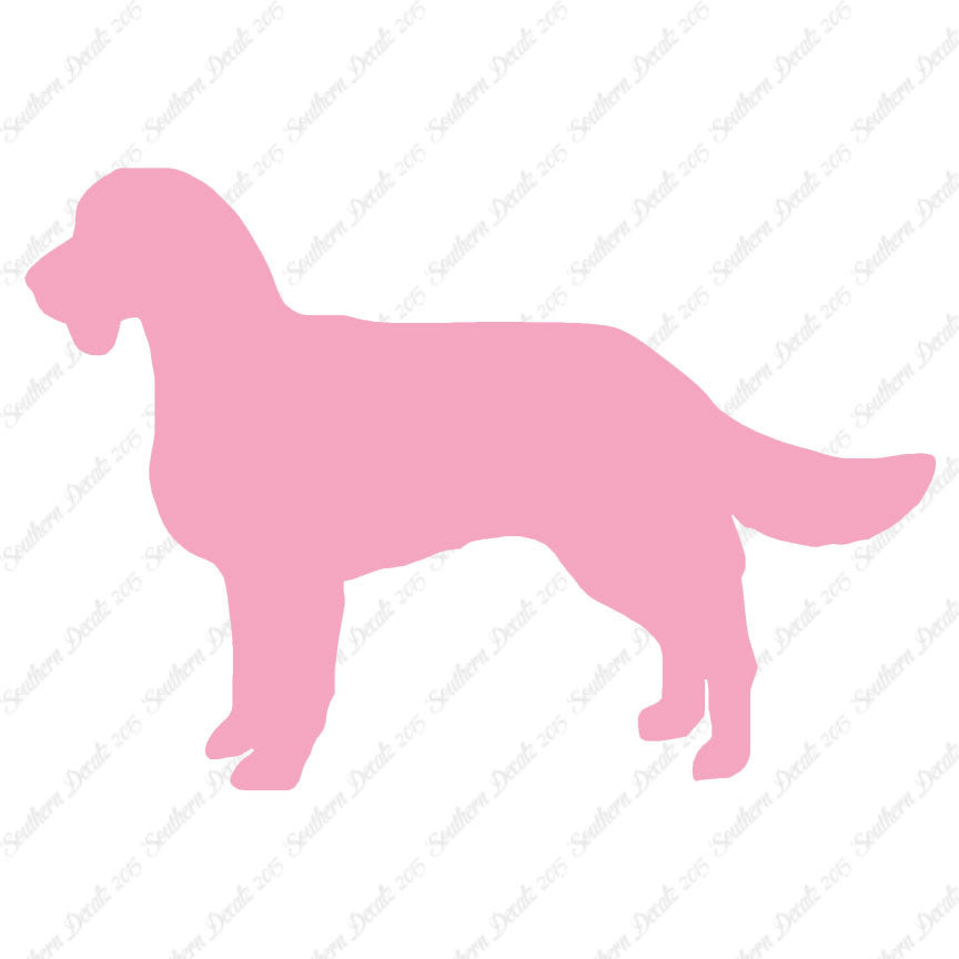 American Water Spaniel Dog Breed