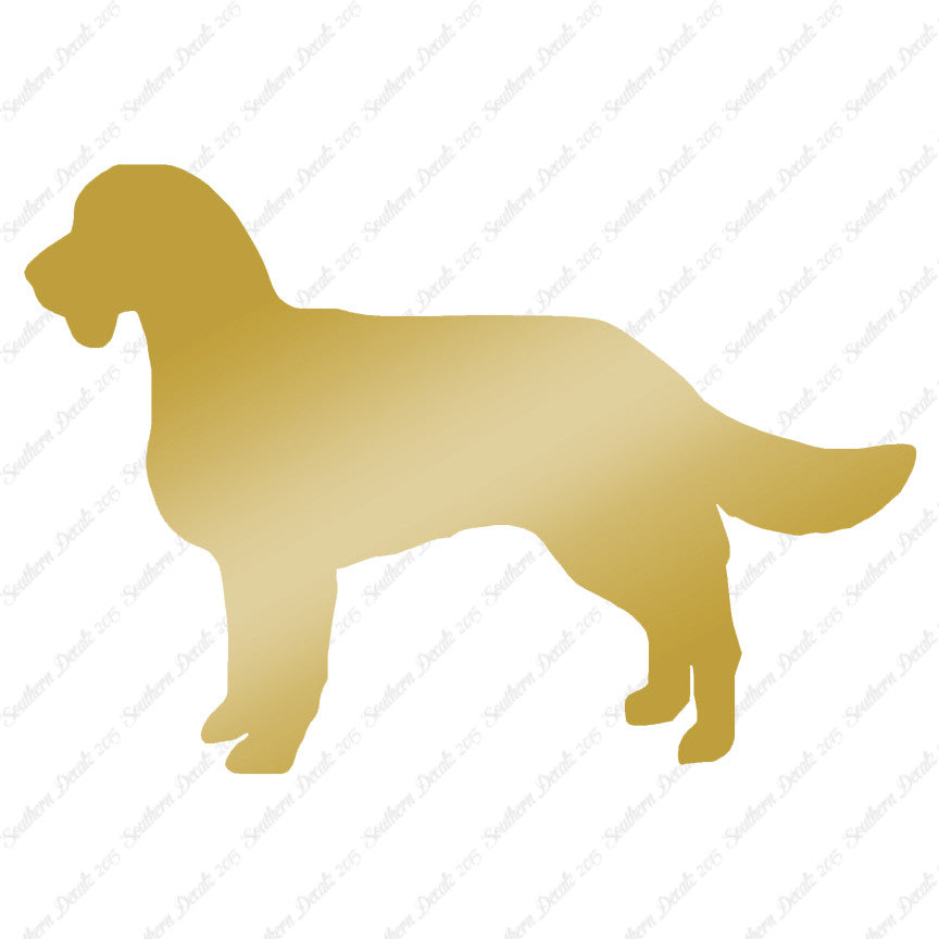 American Water Spaniel Dog Breed