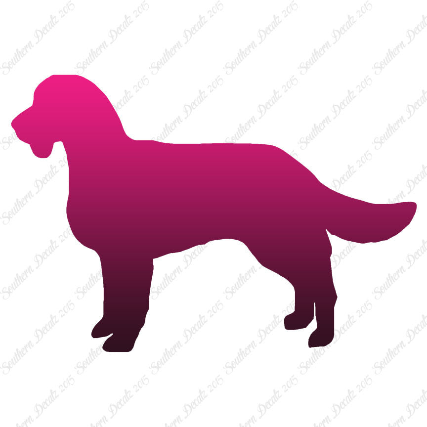 American Water Spaniel Dog Breed