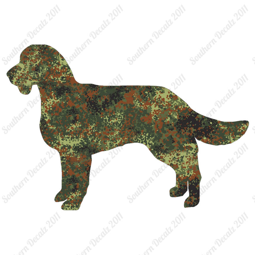 American Water Spaniel Dog Breed