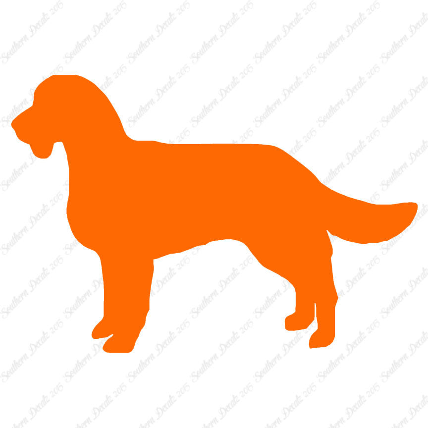 American Water Spaniel Dog Breed