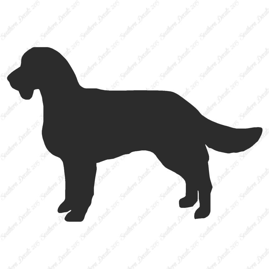 American Water Spaniel Dog Breed