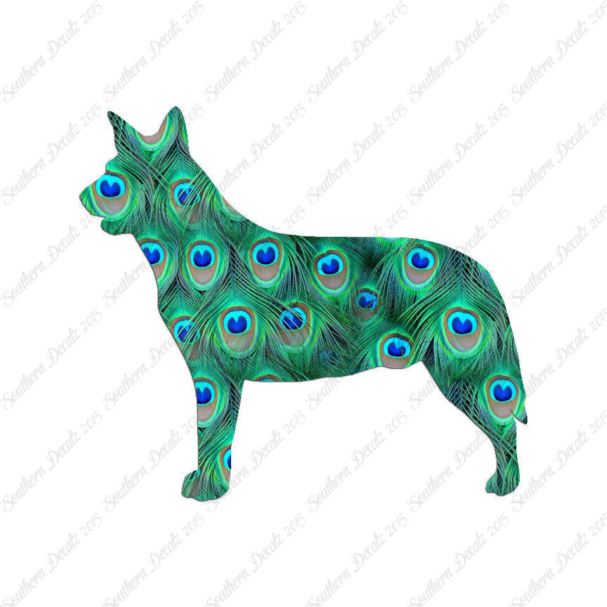 Australian Cattledog Dog Breed