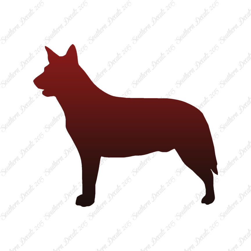 Australian Cattledog Dog Breed