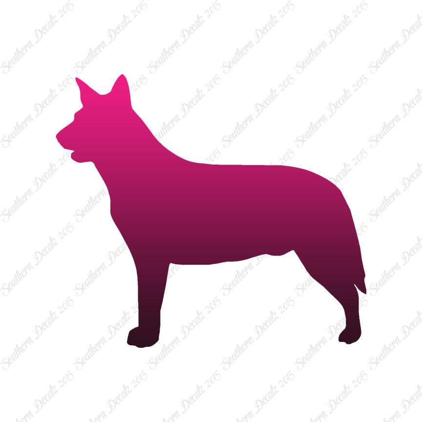 Australian Cattledog Dog Breed