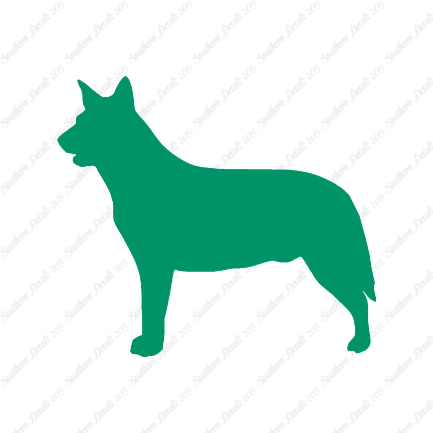 Australian Cattledog Dog Breed