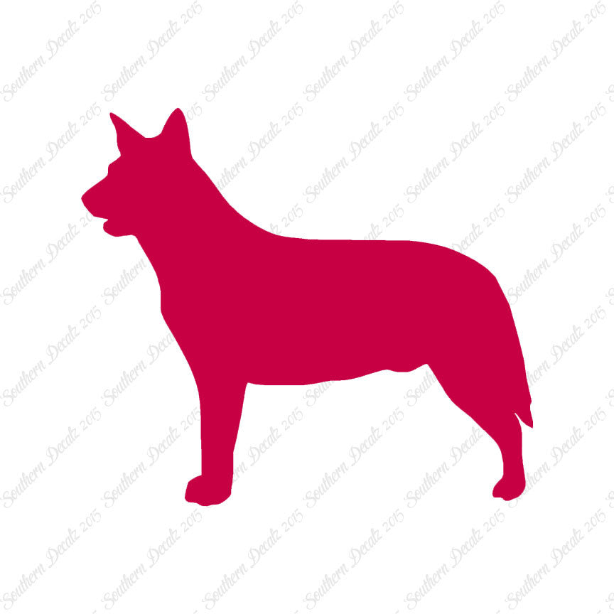 Australian Cattledog Dog Breed