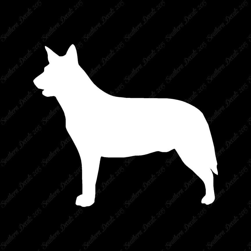 Australian Cattledog Dog Breed