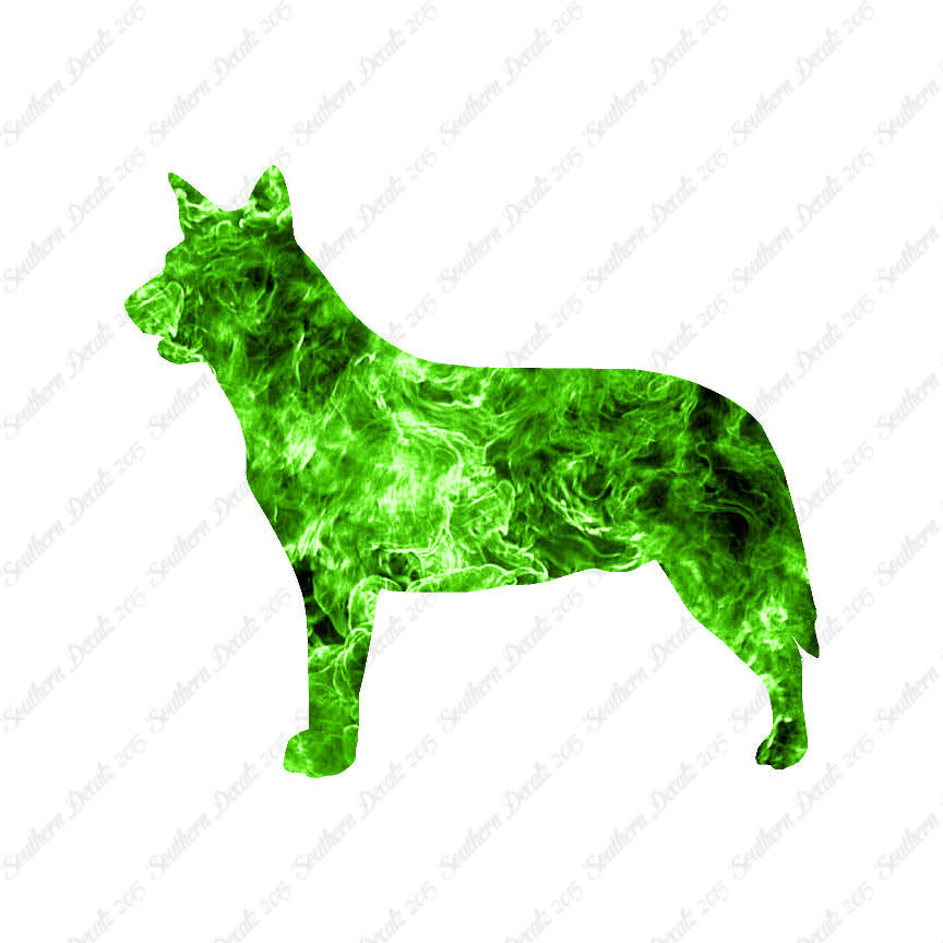 Australian Cattledog Dog Breed