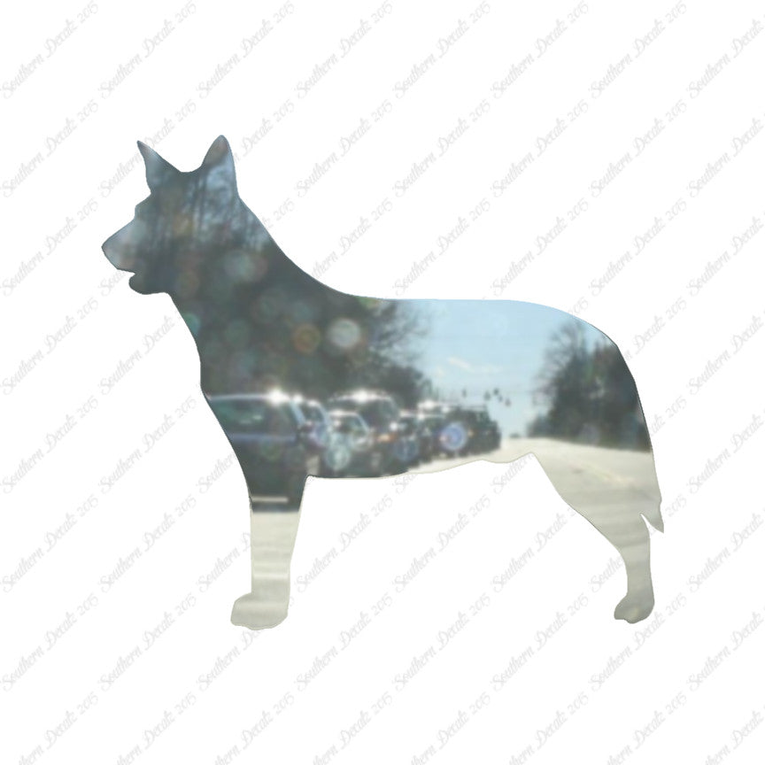 Australian Cattledog Dog Breed