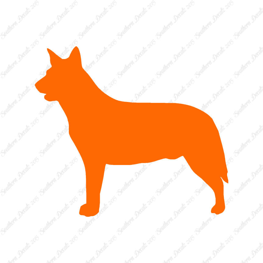 Australian Cattledog Dog Breed