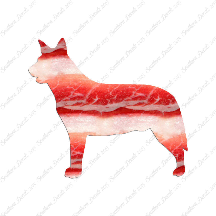 Australian Cattledog Dog Breed