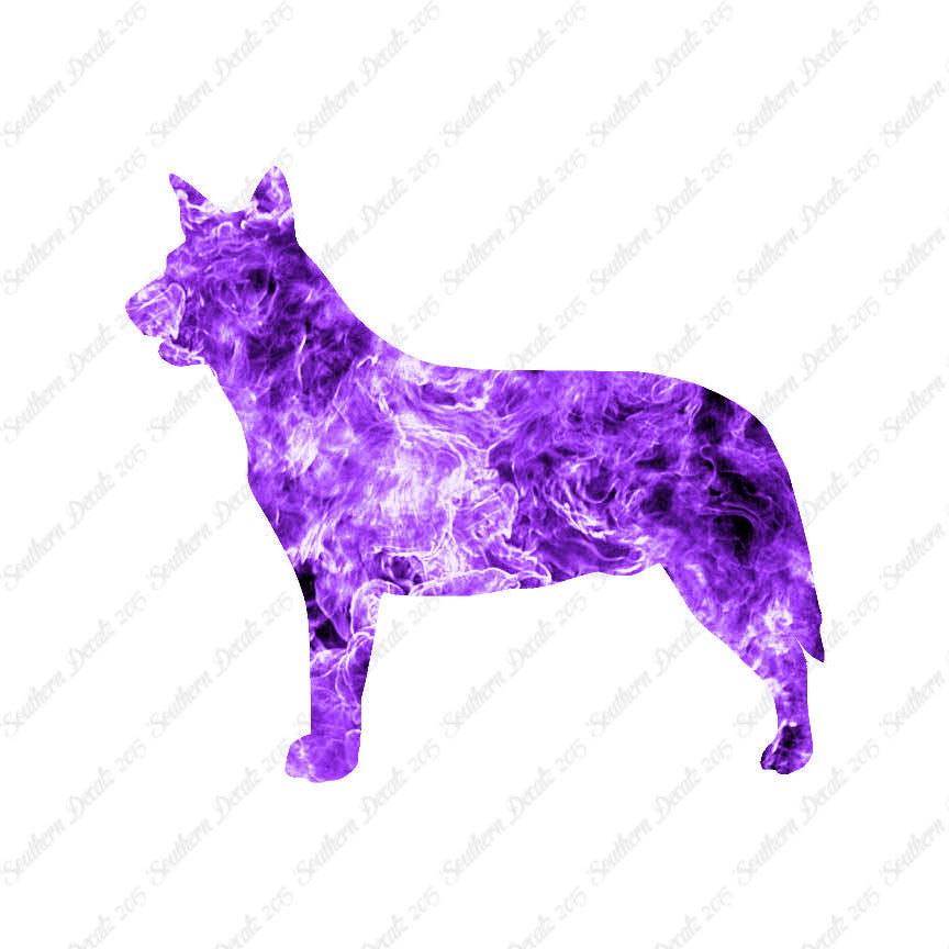 Australian Cattledog Dog Breed