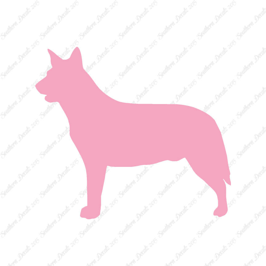 Australian Cattledog Dog Breed