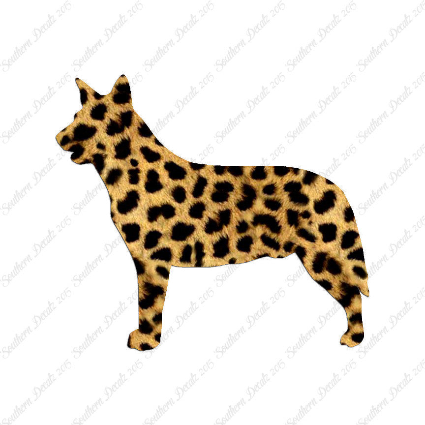 Australian Cattledog Dog Breed