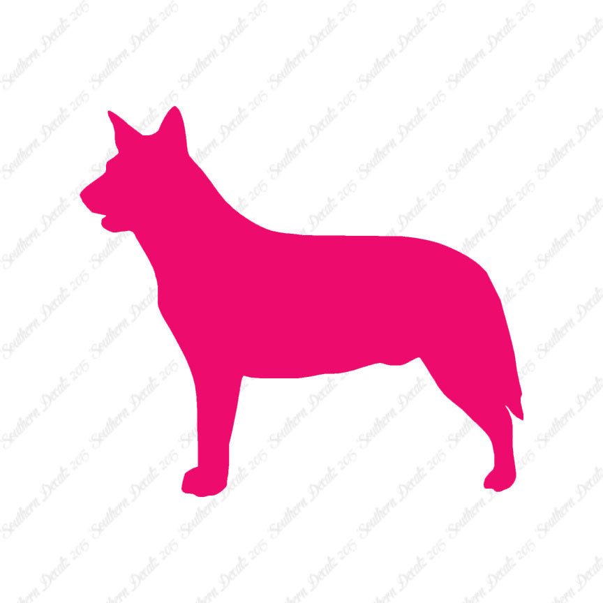 Australian Cattledog Dog Breed
