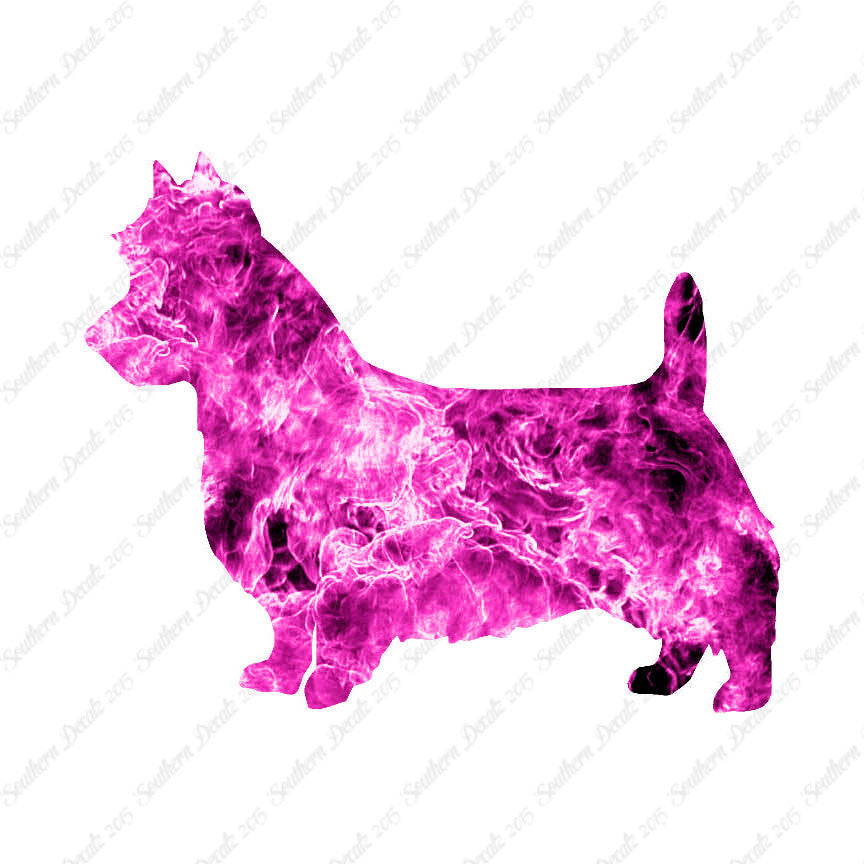 Australian Terrier Dog Breed