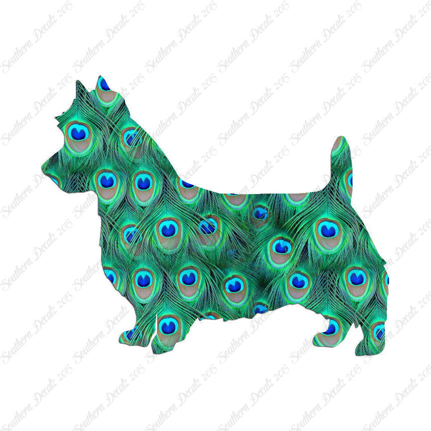 Australian Terrier Dog Breed