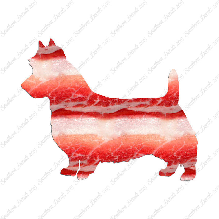 Australian Terrier Dog Breed