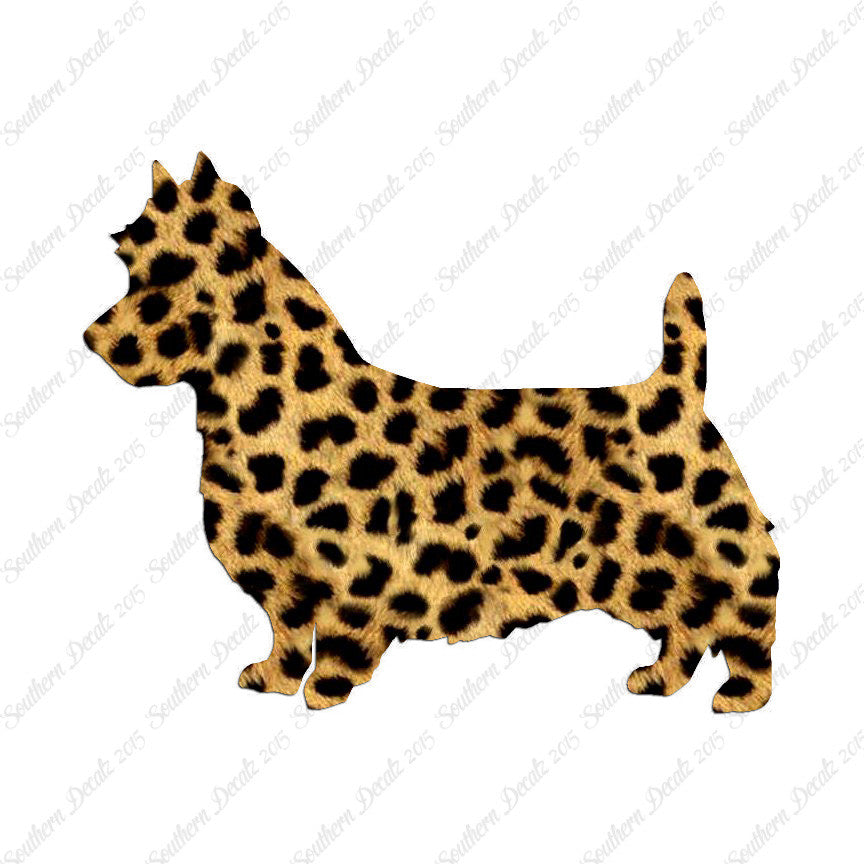 Australian Terrier Dog Breed