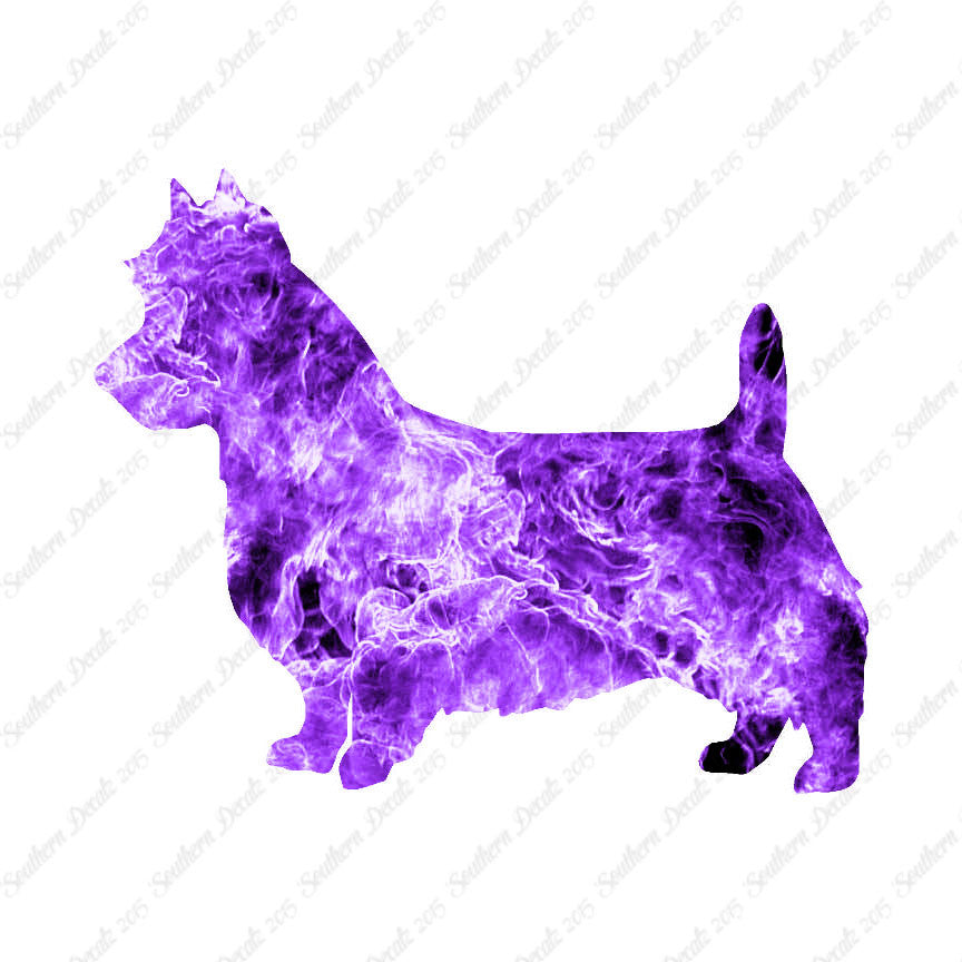 Australian Terrier Dog Breed