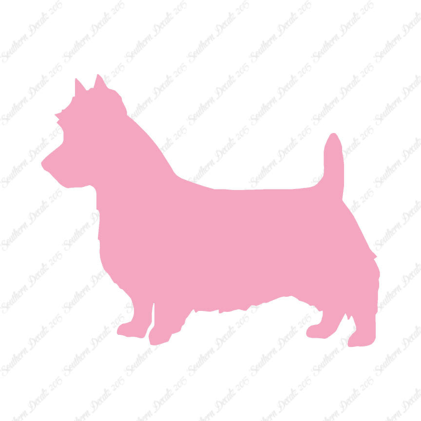 Australian Terrier Dog Breed