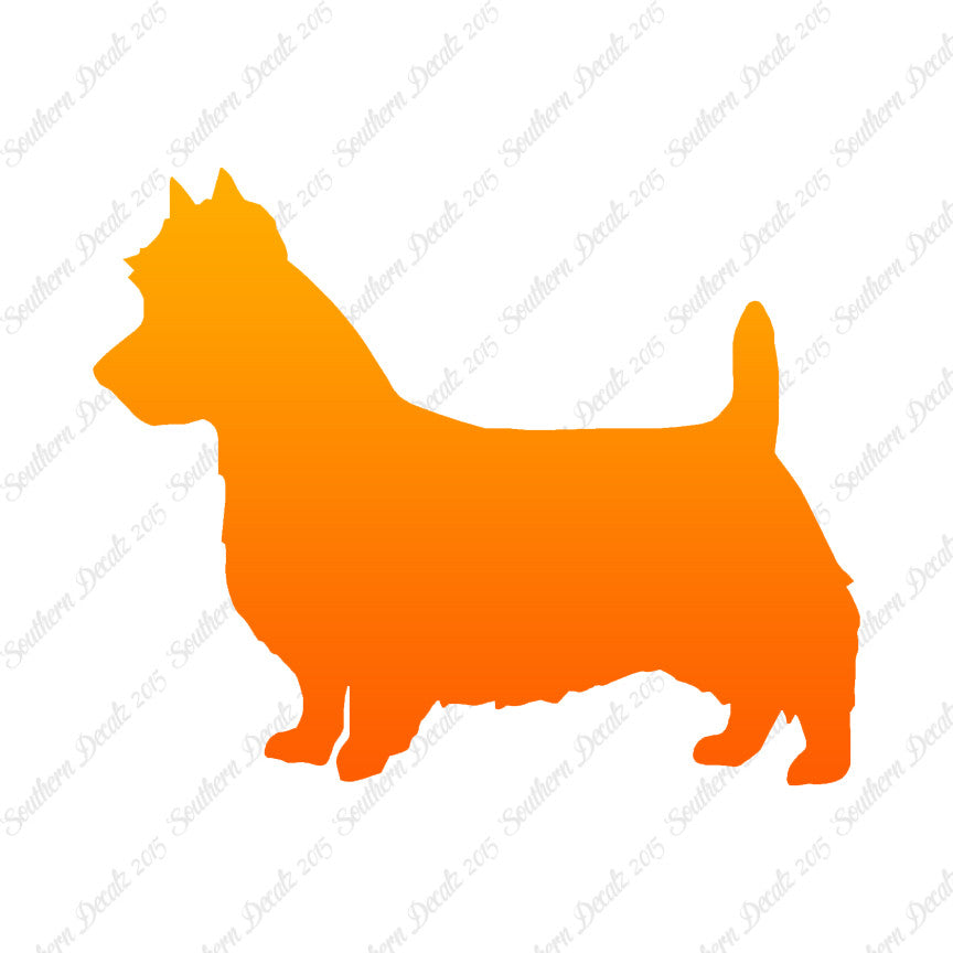 Australian Terrier Dog Breed