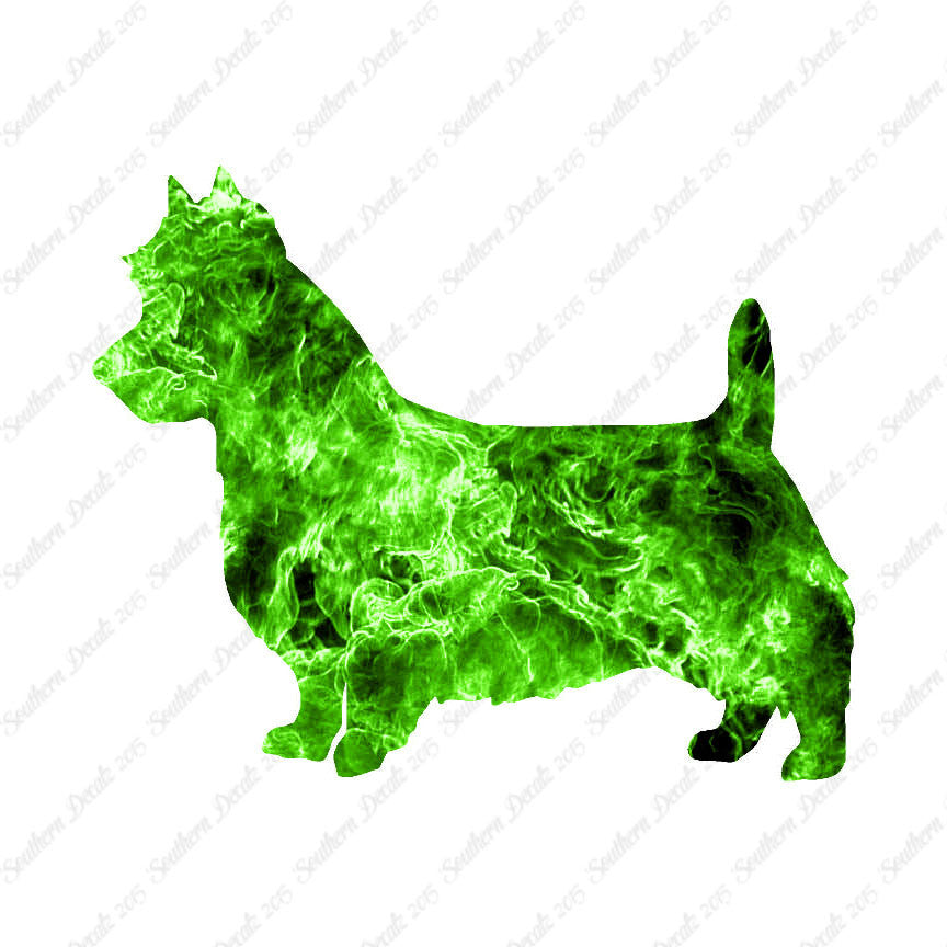 Australian Terrier Dog Breed