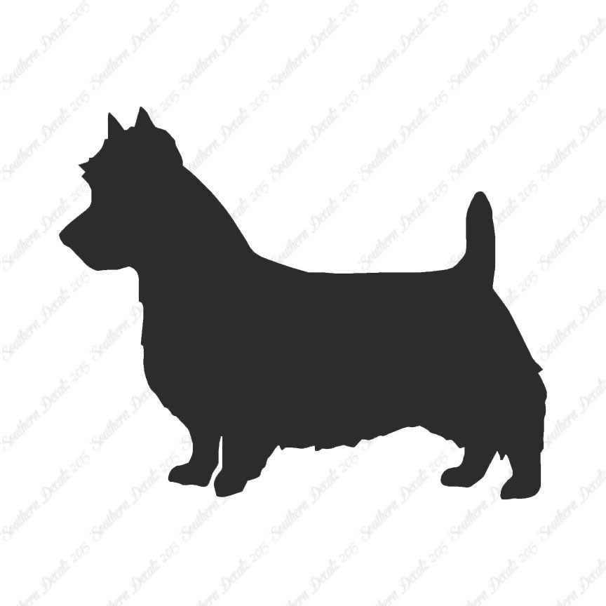 Australian Terrier Dog Breed