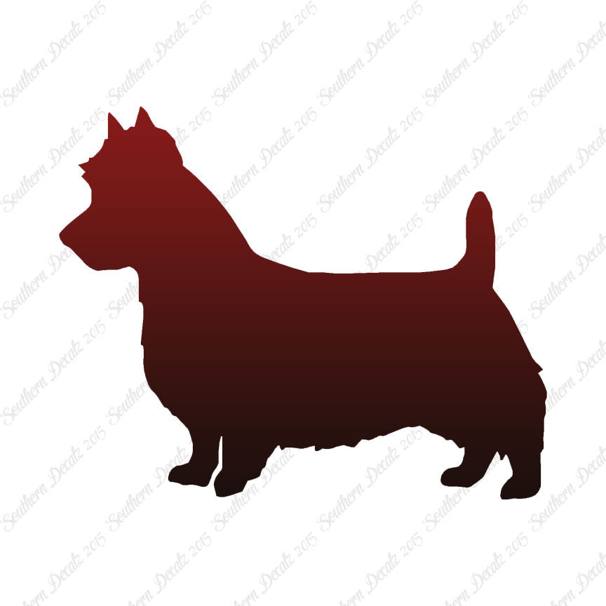 Australian Terrier Dog Breed