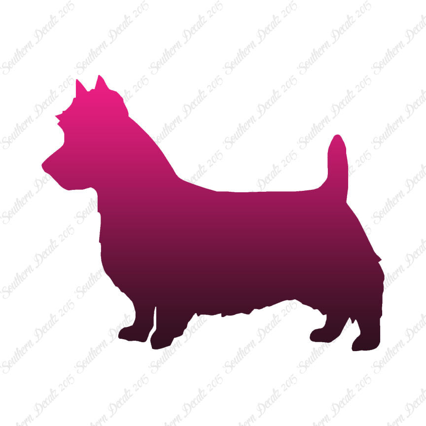 Australian Terrier Dog Breed