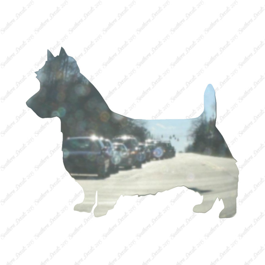 Australian Terrier Dog Breed