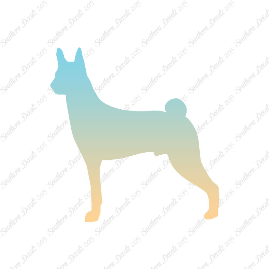Basenji Dog Breed