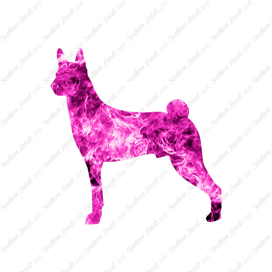 Basenji Dog Breed