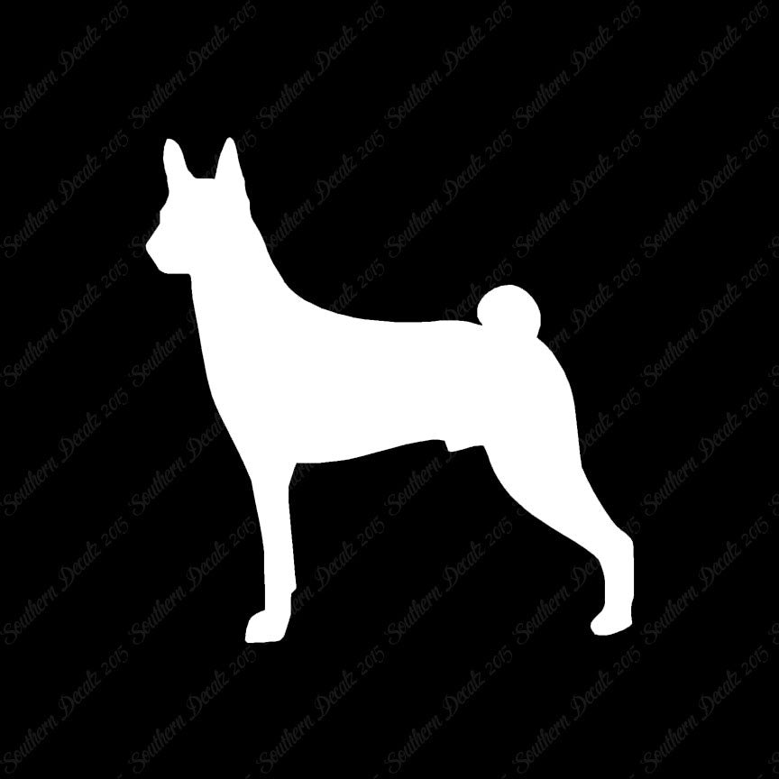 Basenji Dog Breed
