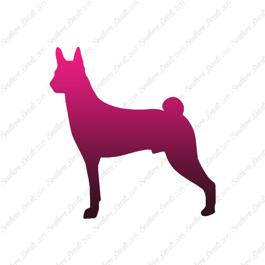 Basenji Dog Breed