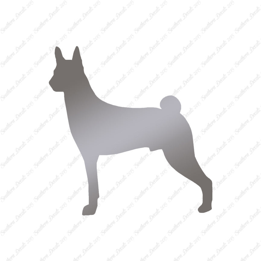 Basenji Dog Breed