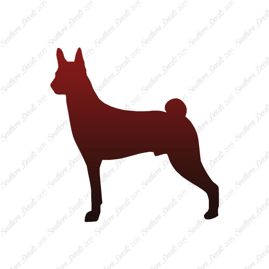 Basenji Dog Breed
