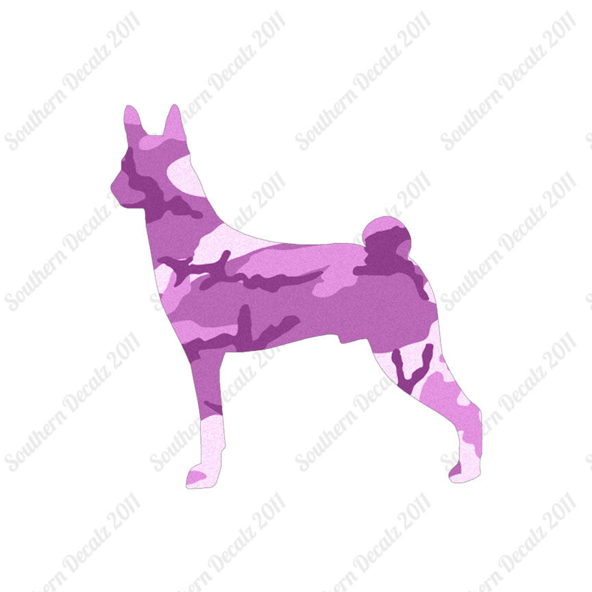 Basenji Dog Breed